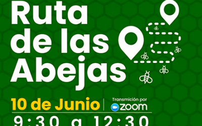 Ruta de las Abejas – Apicultura y Turismo en Patagonia Verde – 10 de Junio 2021