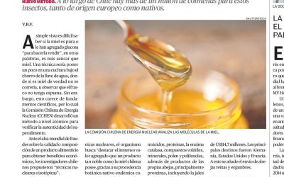 Nuevas técnicas para proteger a la miel y las abejas