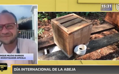 Entrevista Día de las Abejas Radio BioBio & BioBioTV