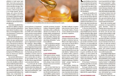 Miel auténtica gracias a tecnologías nucleares