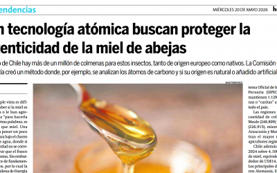 Tecnología atómica y autenticidad de la miel