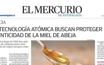 Día Mundial de las Abejas 2026