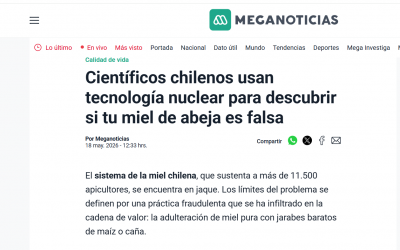 Día de las Abejas 2026: Uso de tecnología nuclear para determinar autenticidad de la miel
